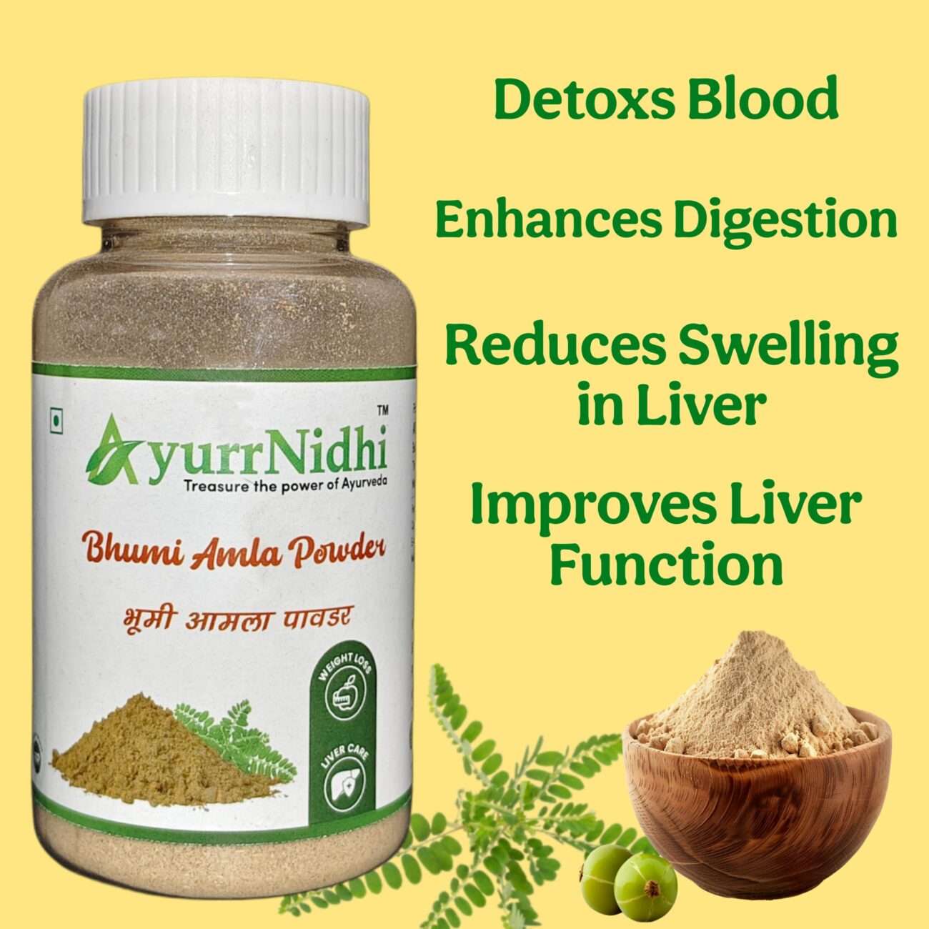 Bhumi Amla Powder | Ayurvedic Liver Support & Detox Formula Bhumi Amla Powder – Natural Liver Cleanser and Detoxifier