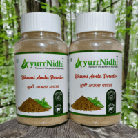 AyurrNidhi Bhumi Amla Powder 100% Pure, 50 Gms x 2