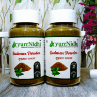 AyurrNidhi Gudmar Powder 100% Pure, 80gms x 2