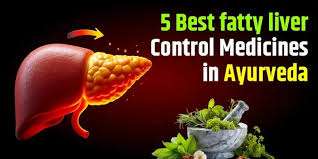 ayurvedic treatment for fatty liver